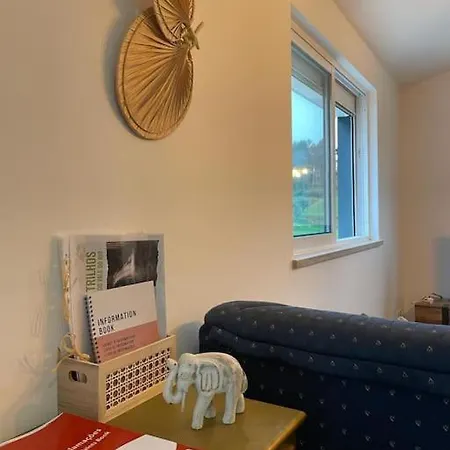 Casa Da Bivo Figueiro Dos Vinhos