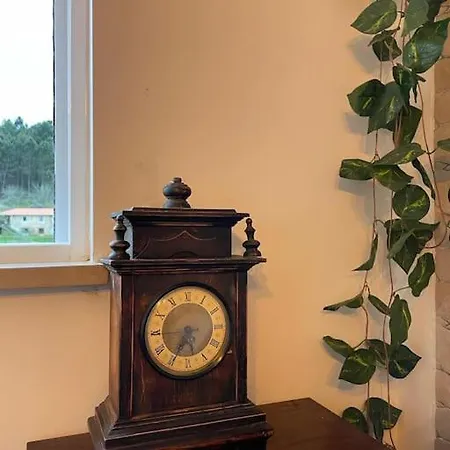 Casa Da Bivo Semesterbostad Figueiro Dos Vinhos